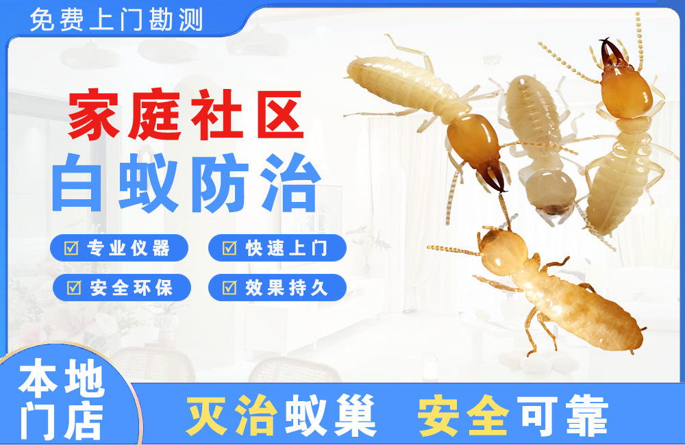 广汉家庭社区白蚁防治