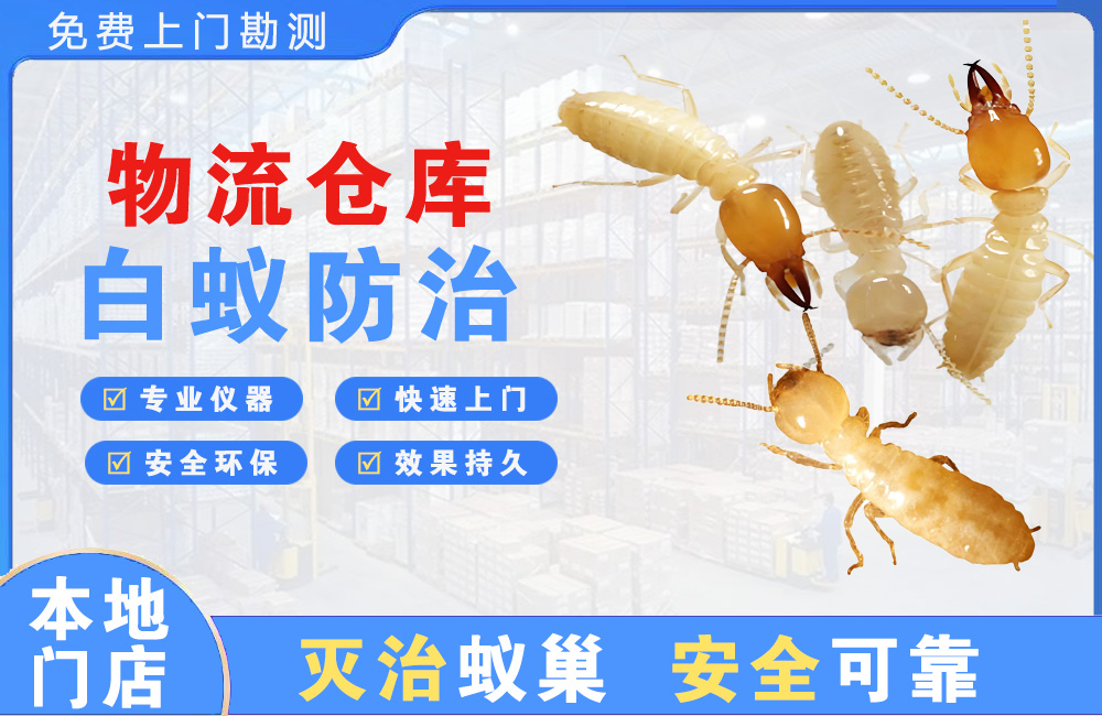 广汉物流仓库白蚁防治