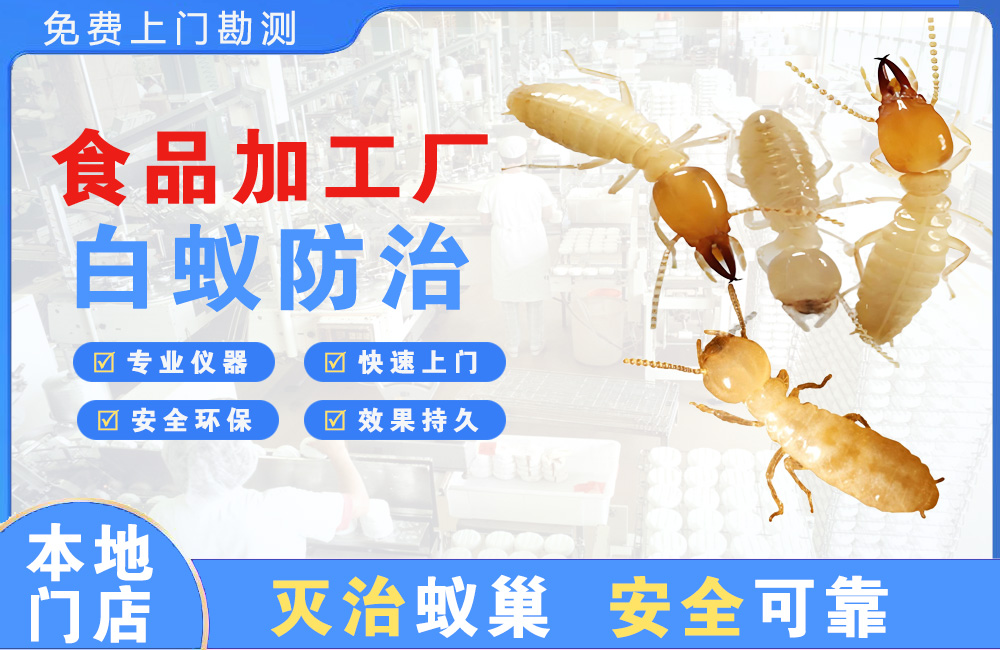 广汉食品加工厂白蚁防治