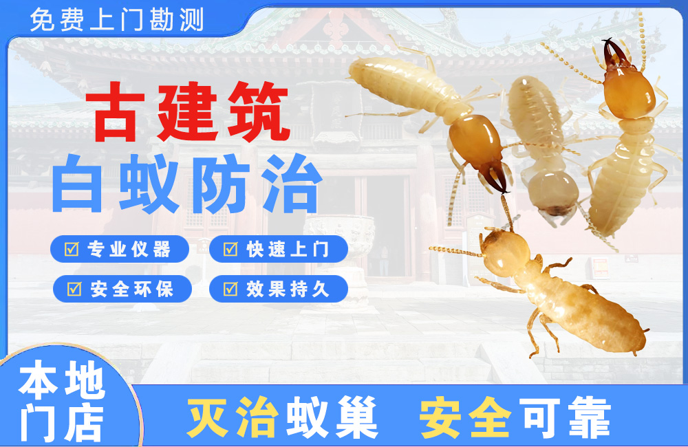 广汉古建筑白蚁防治