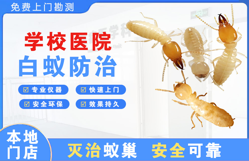 广汉学校医院白蚁防治